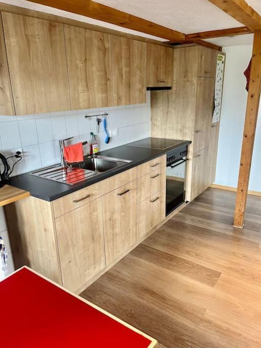 Chalet Sonnenheim, Wohnung Mit Panoramafenster Adelboden Esterno foto