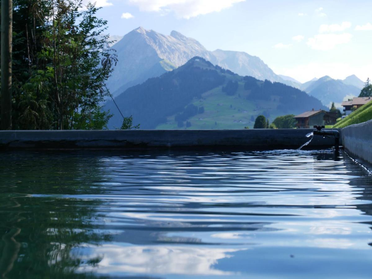 Chalet Sonnenheim, Wohnung Mit Panoramafenster Adelboden Esterno foto